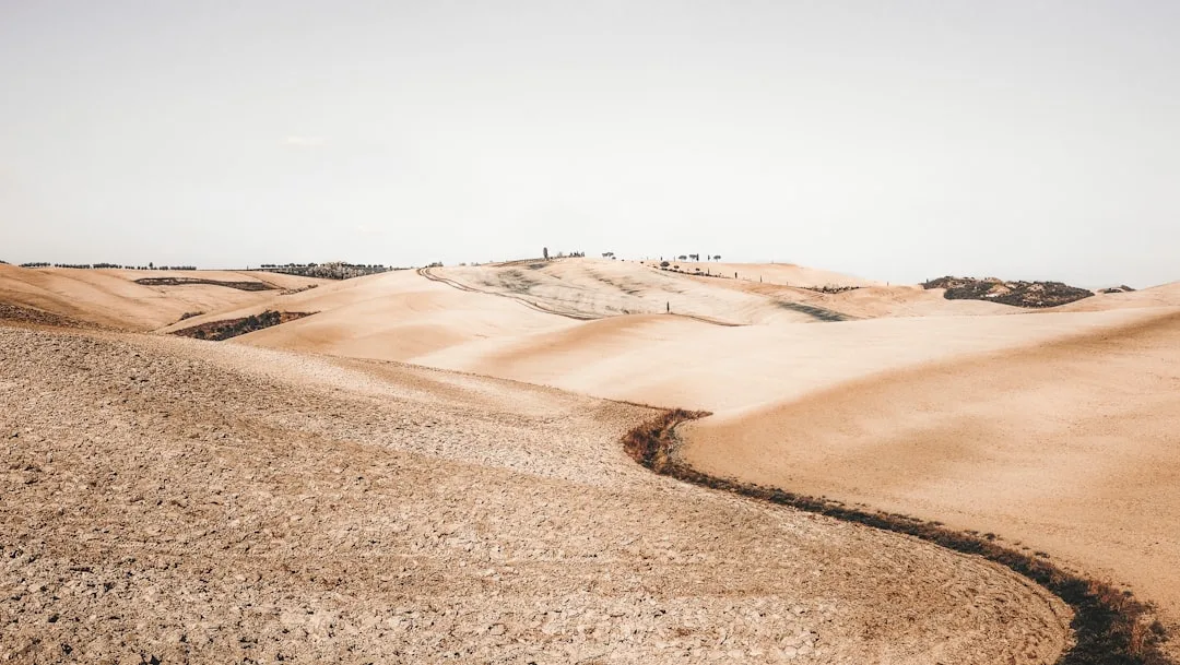 Photo Soil