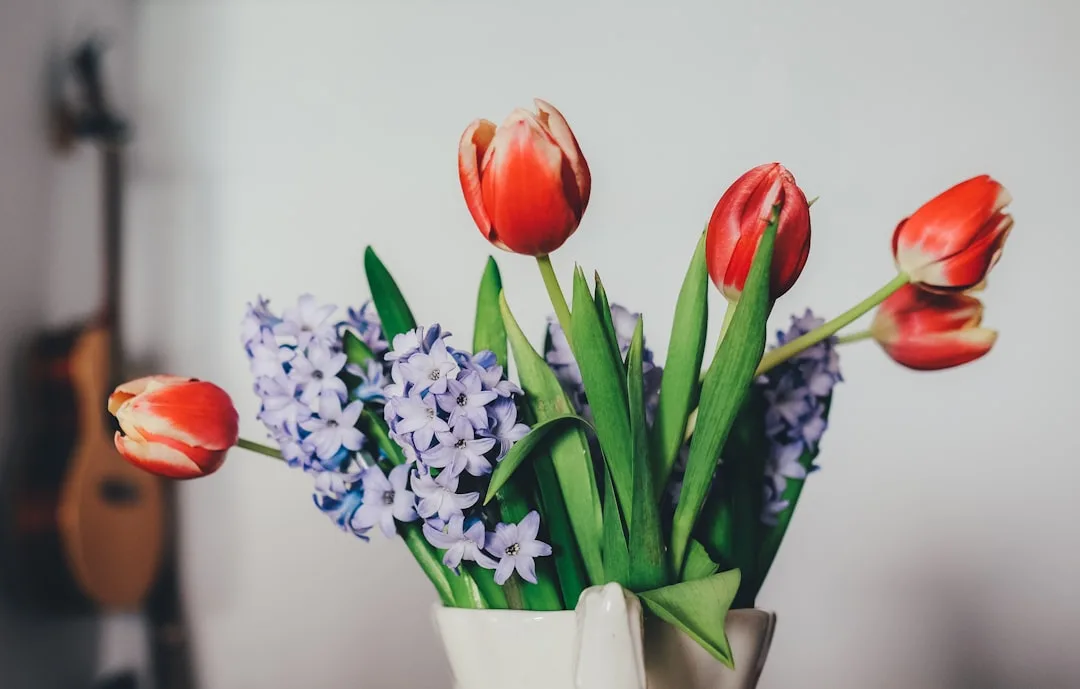 Photo Tulips