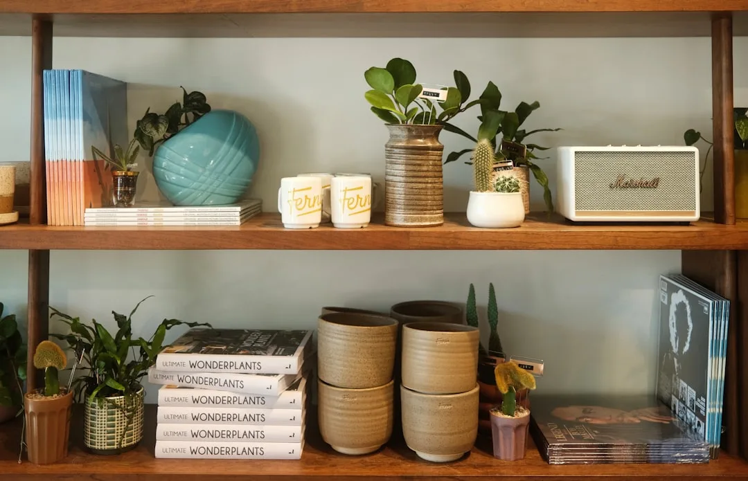 Photo Plant care